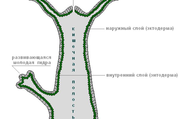 Кракен маркет даркент только через тор