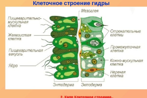 Kraken зеркало официальный