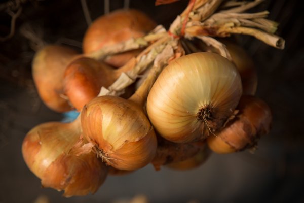 Kraken onion link