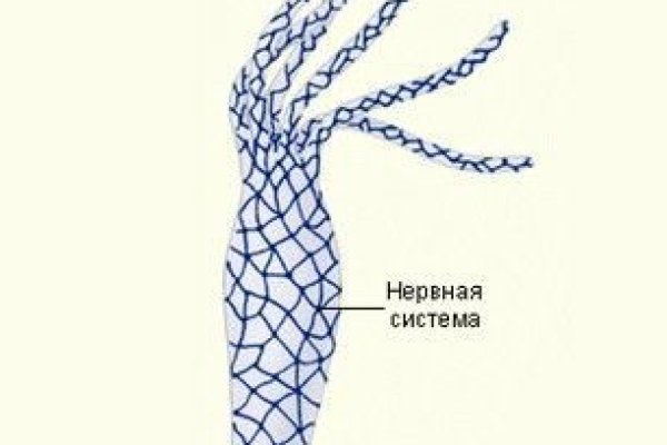 Кракен сайт krakens13 at