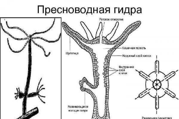 Войти на кракен