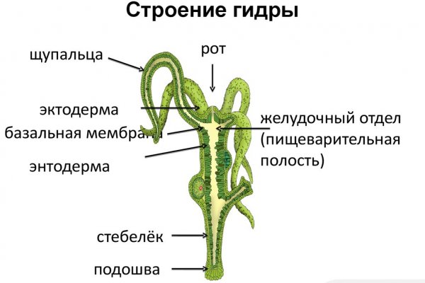 Кракен сайт сегодня