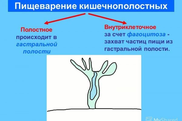 Рабочая ссылка кракен маркетплейс