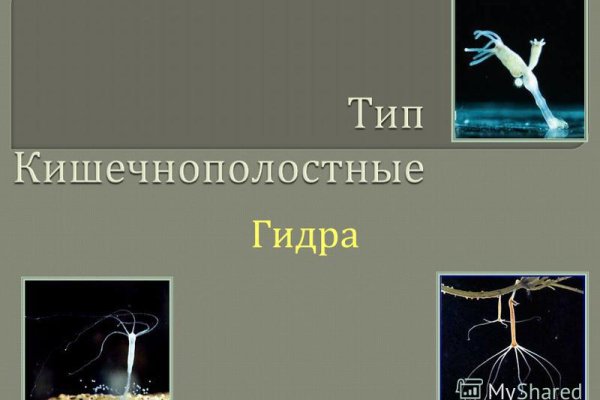 Кракен активная ссылка