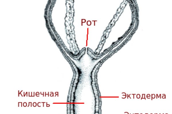 Сайты наркоты