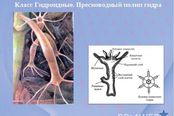 Кракен даркнет только через торг